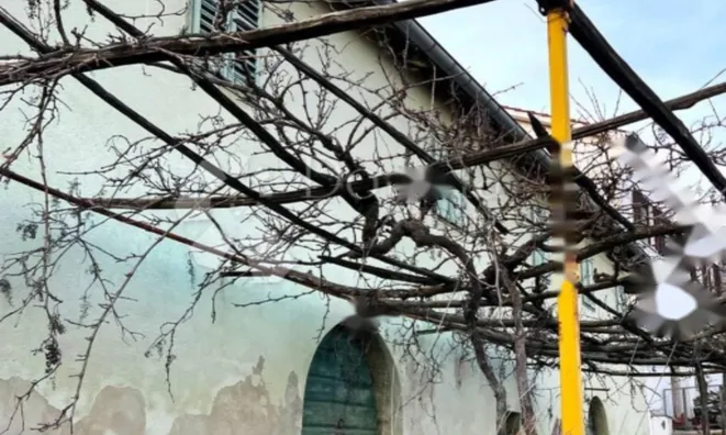 Недвижимость Семейный дом 190 м², Центр: 7