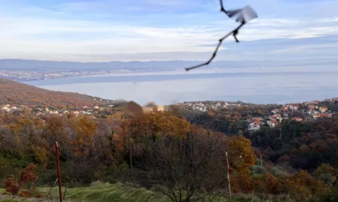 Недвижимость Семейный дом 190 м², Центр: 27