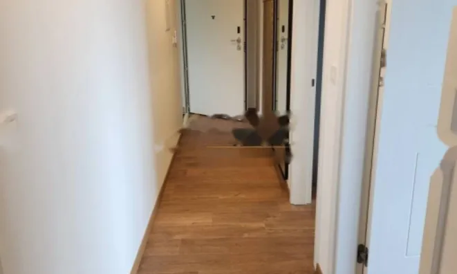 Недвижимость Трёхкомнатная квартира, Ичичи: 12