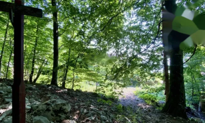 Недвижимость Семейный дом 425 м² в Опатии: 22