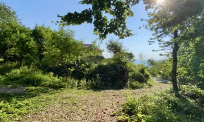 Недвижимость Семейный дом 425 м² в Опатии: 23