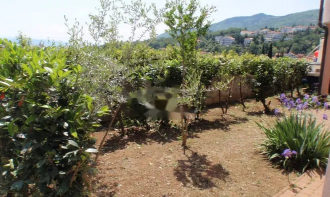 Недвижимость Трёхкомнатная квартира Ичичи: 25