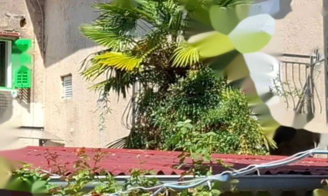 Недвижимость Многоквартирный дом в центре Опатии: 15