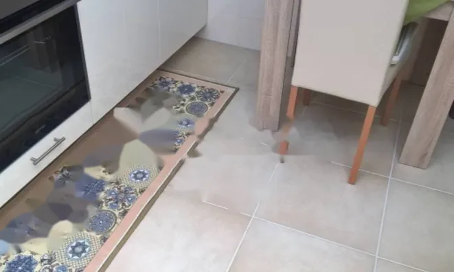 Недвижимость Трёхкомнатная квартира, Центр: 18