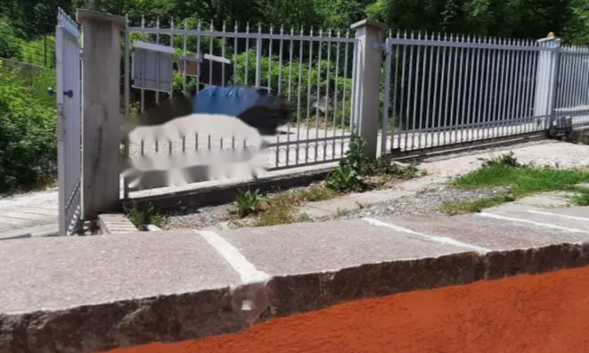 Недвижимость Трёхкомнатная квартира Добричь: 14