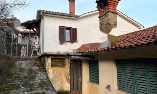 Недвижимость Семейный дом 190 м², Центр: 14