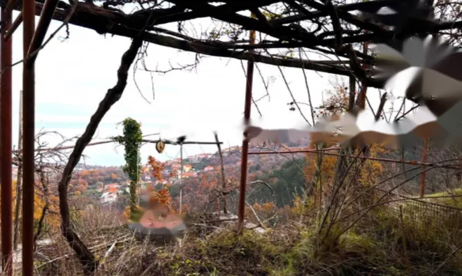 Недвижимость Семейный дом 190 м², Центр: 36