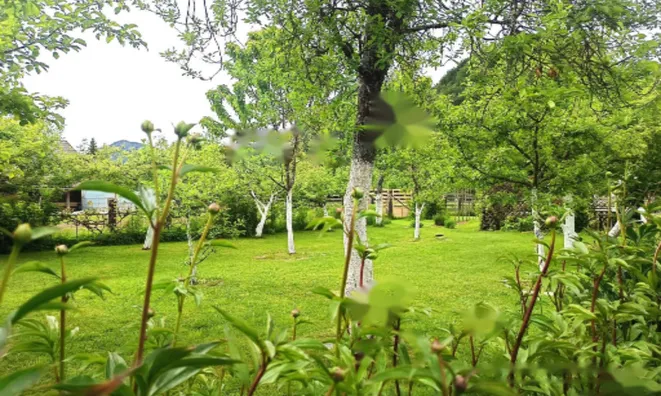 Недвижимость Дом, Блед, Окрестности Бледа: 3