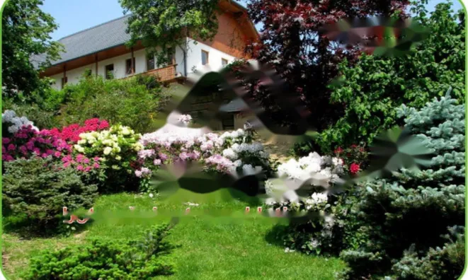 Недвижимость Дом, Верхняя Липница: 7