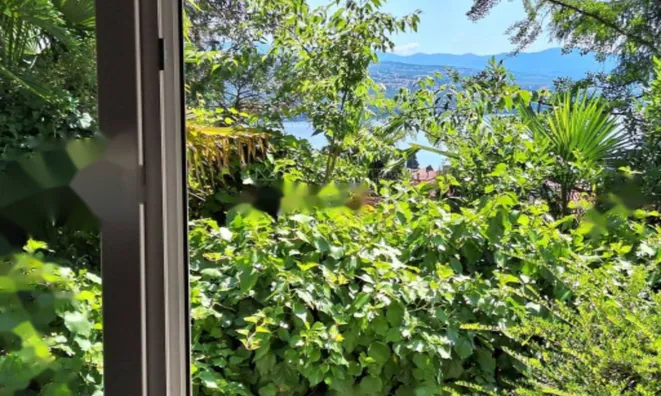 Недвижимость Трехкомнатная квартира в Центре: 11