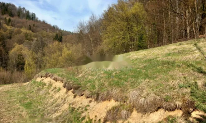 Недвижимость Участок, застройка Бесница, видовая и тихая локация.: 2