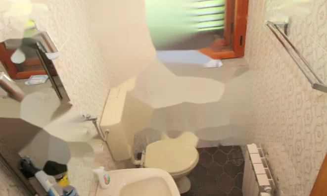 Недвижимость Дом в центре Сежаны: 29