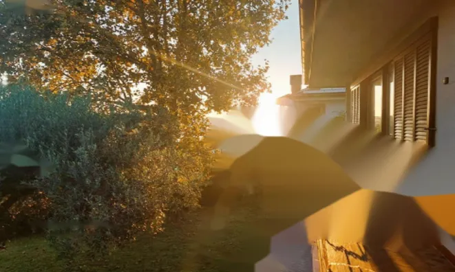 Недвижимость Дом, Сеча: 6