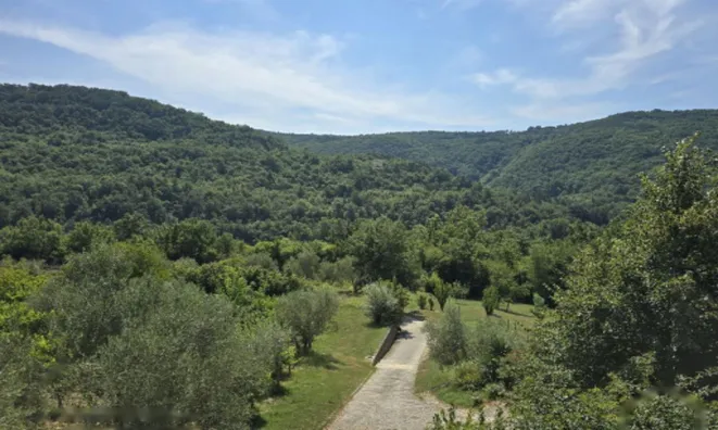 Недвижимость Дом, Пуче, Драгонья: 24