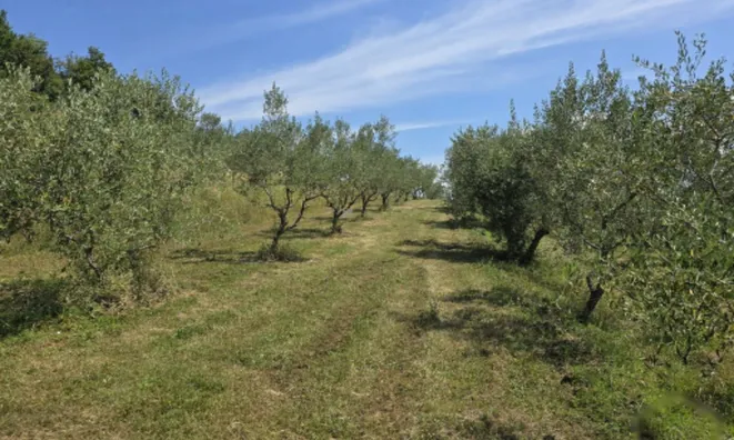 Недвижимость Дом, Пуче, Драгонья: 24