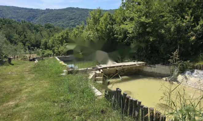 Недвижимость Дом, Пуче, Драгонья: 25