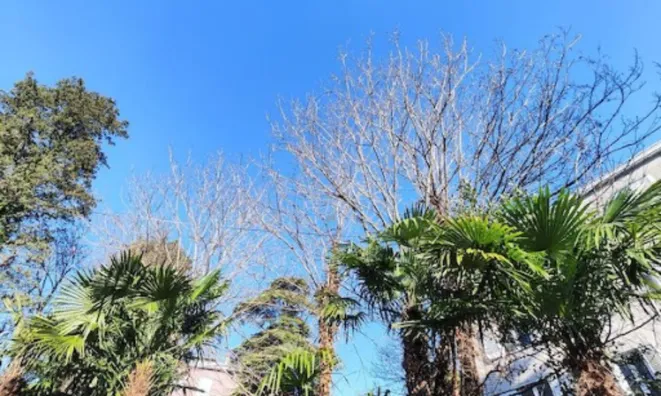 Недвижимость Портороз двухэтажный дом: 11