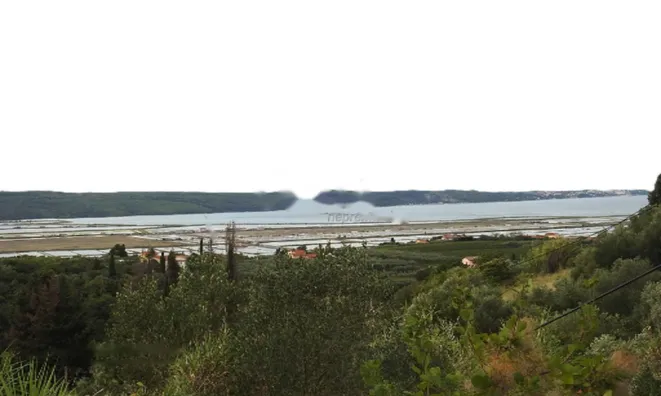 Недвижимость Дом, Сеча, Порторож: 1