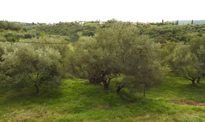 Недвижимость Дом, Сеча, Порторож: 2