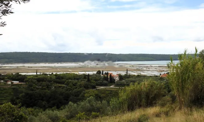 Недвижимость Дом, Сеча, Порторож: 3