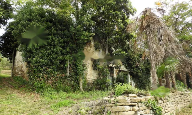 Недвижимость Дом, Сеча, Порторож: 8