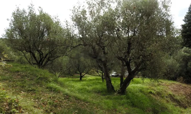 Недвижимость Дом, Сеча, Порторож: 13