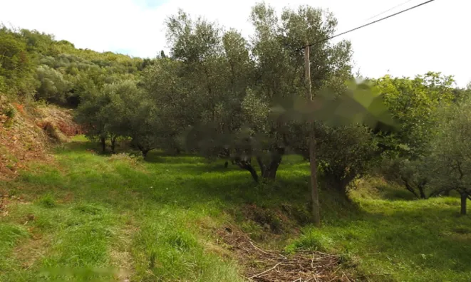 Недвижимость Дом, Сеча, Порторож: 14