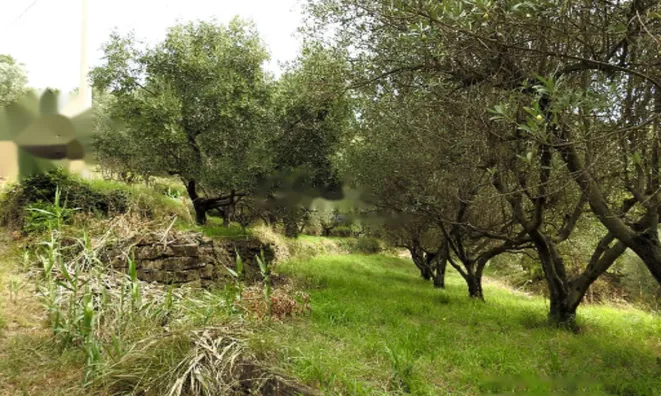 Недвижимость Дом, Сеча, Порторож: 15