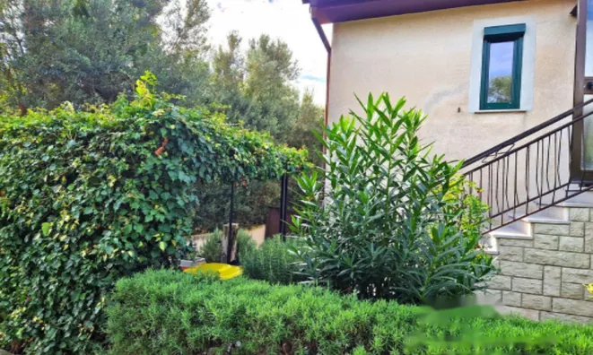 Недвижимость Дом Двойчек в Портороже: 1