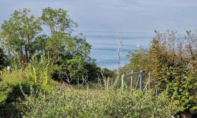 Недвижимость Дом Двойчек в Портороже: 6