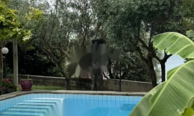 Недвижимость Дом, Порторож: 16