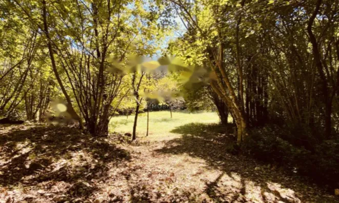 Недвижимость Семейный дом 240 м², Запад, Опатия: 29