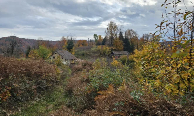 Недвижимость Усадьба 'Кметияново Добрава': 2