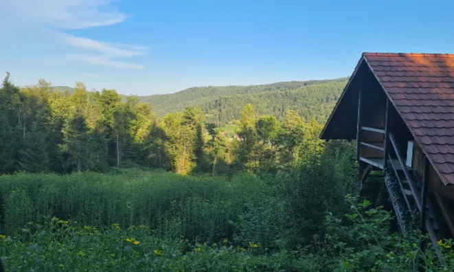 Недвижимость Усадьба 'Кметияново Добрава': 3