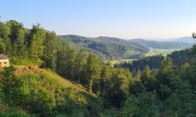 Недвижимость Усадьба 'Кметияново Добрава': 4