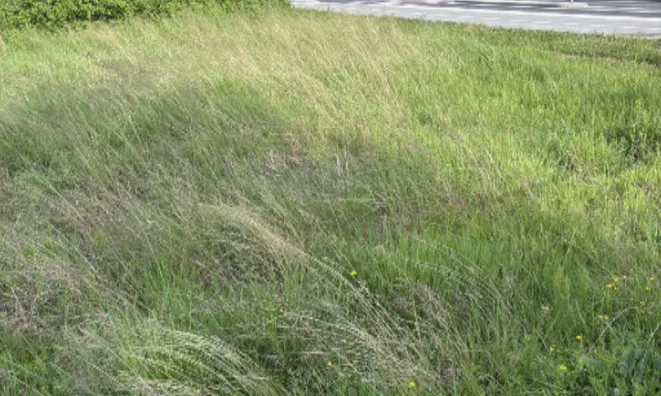 Недвижимость Участок, Застраиваемый ЛЮБ. ВИЧ.: 2