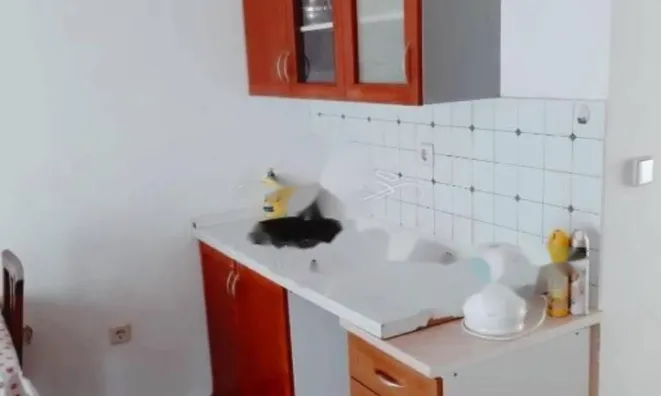 Недвижимость Двухкомнатная квартира Ичичи: 13