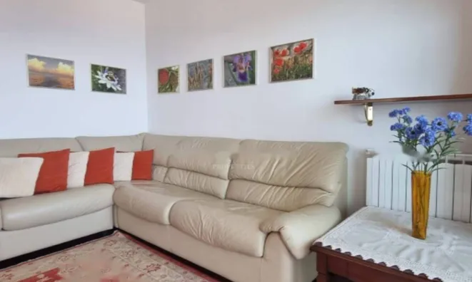 Недвижимость Трехкомнатная квартира в центре: 8