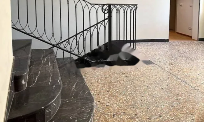 Недвижимость Четырёхкомнатная квартира в центре: 16