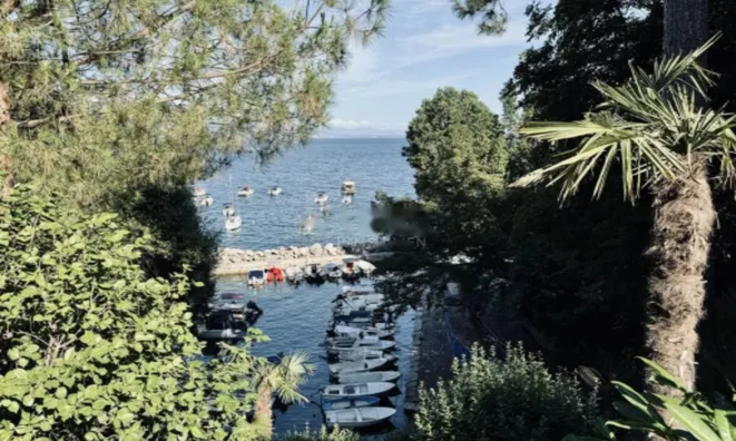 Недвижимость Однокомнатная квартира, Центр: 15