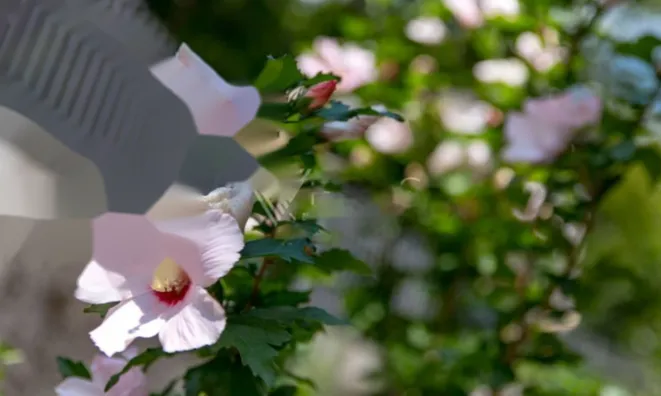 Недвижимость Семейный дом 200 м², Запад, Опатия: 22