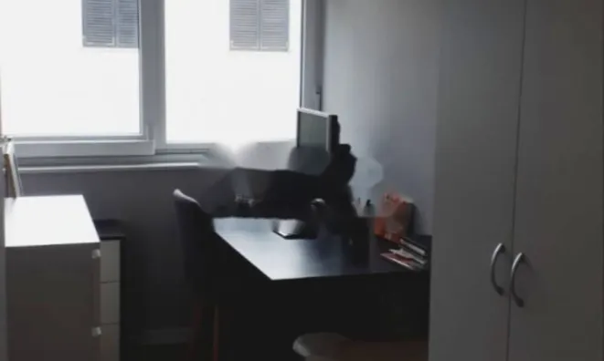 Недвижимость Четырехкомнатная квартира в центре Опатии: 11