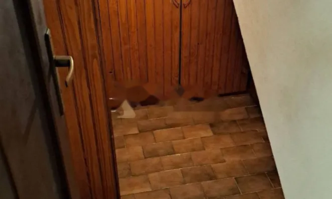 Недвижимость Дуплекс 196 м², Ичичи, Ика: 28