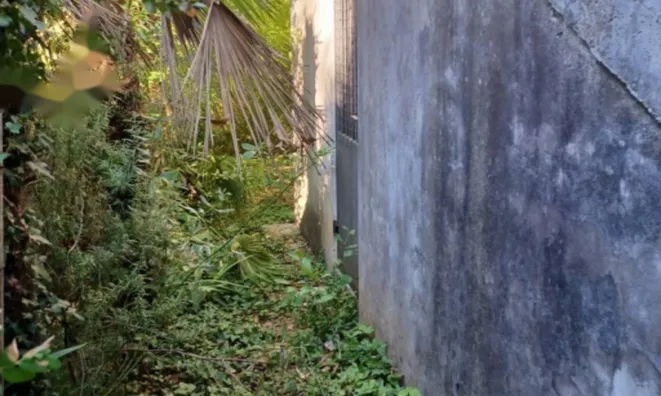 Недвижимость Трёхкомнатная квартира, Центр: 6