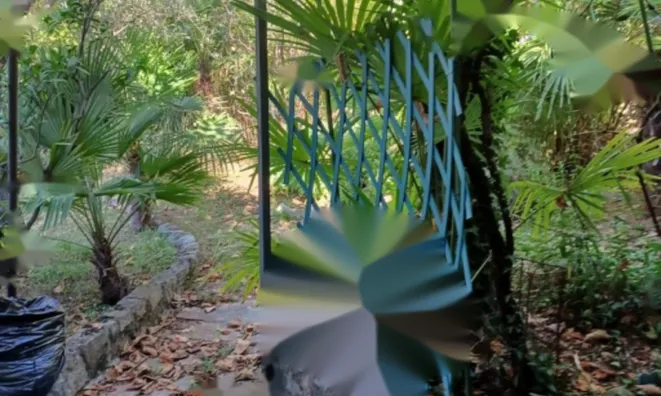 Недвижимость Трёхкомнатная квартира, Центр: 8