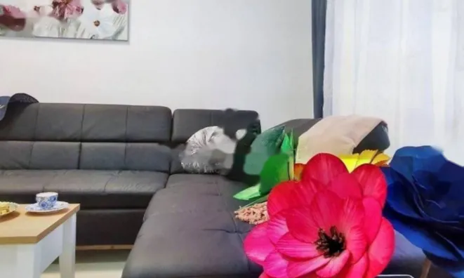 Недвижимость Квартира в центре Опатии: 4