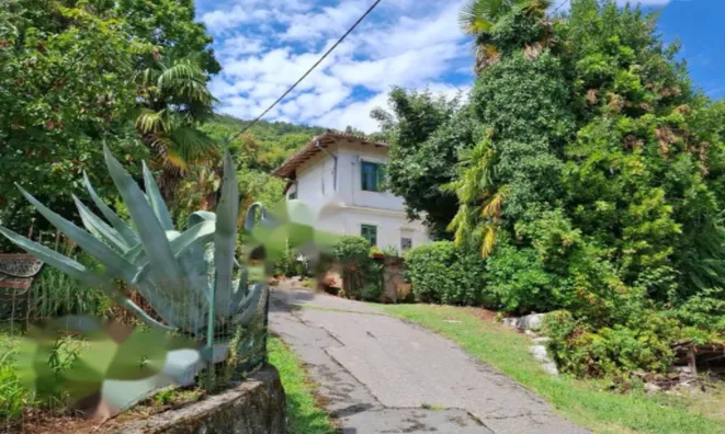 Недвижимость Квартира для ремонта в Центре: 21