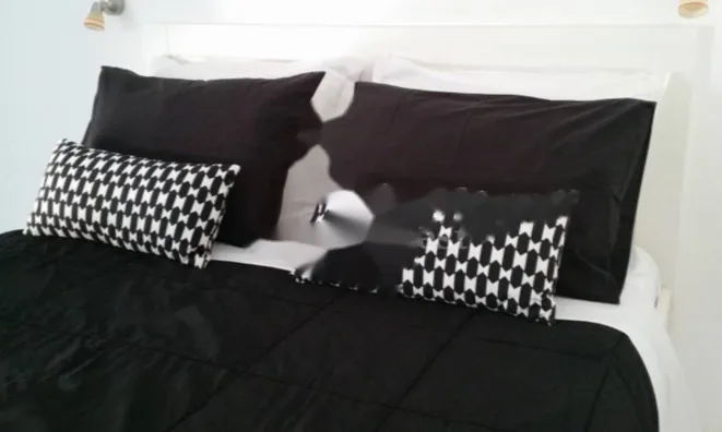 Недвижимость Трёхкомнатная квартира Центр: 16