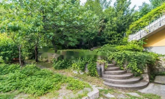 Недвижимость Квартира в центре Опатии: 22