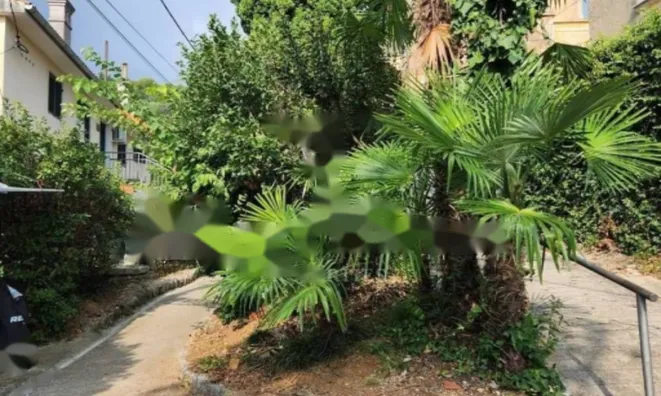 Недвижимость Квартира в центре Опатии: 23